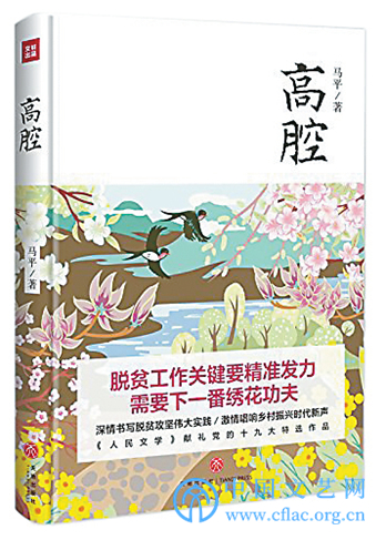 扶贫小说：不同视角下的时代主题书写