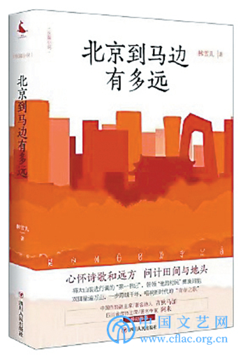 扶贫小说：不同视角下的时代主题书写