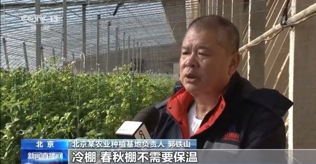 有了这份成绩单 冬春蔬菜供应有保障！