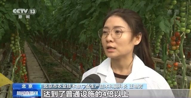 有了这份成绩单 冬春蔬菜供应有保障！