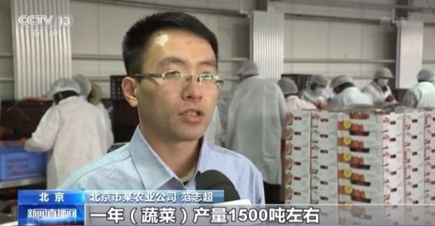 有了这份成绩单 冬春蔬菜供应有保障！