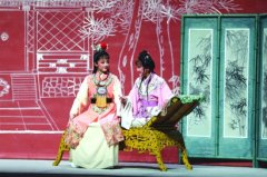 6朵梅花和23朵白玉兰齐绽放，让“黄金年代”永不落幕