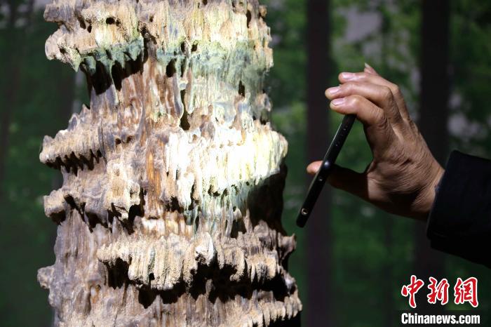 藏身沂蒙山深处的木文化“世界”