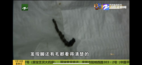 汉堡王被曝吃出烧焦虫子？疯狂加盟扩张再亮食安红灯