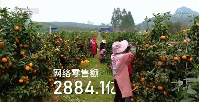 中国经济活力重现！这些“买”出来的数据会说话