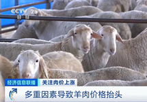 肉价上涨！"牛魔王""羊贵妃""猪坚强"都来了，啥原因？