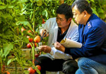 “十三五”期间我国农产品质量安全监管取得五大成效