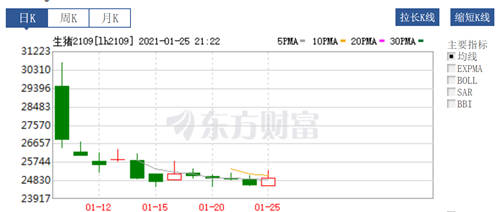 猪企2020|探索多种养殖模式，谨慎观望生猪期货