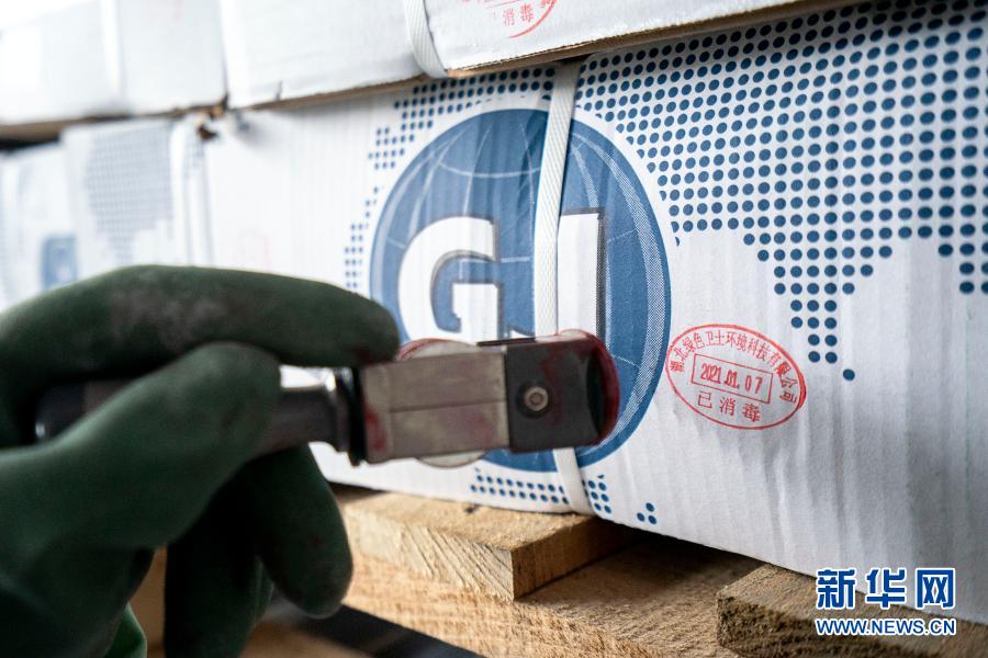 多地进口食品包装“呈阳”,冷链还安全吗?