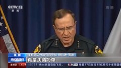 造假、骗