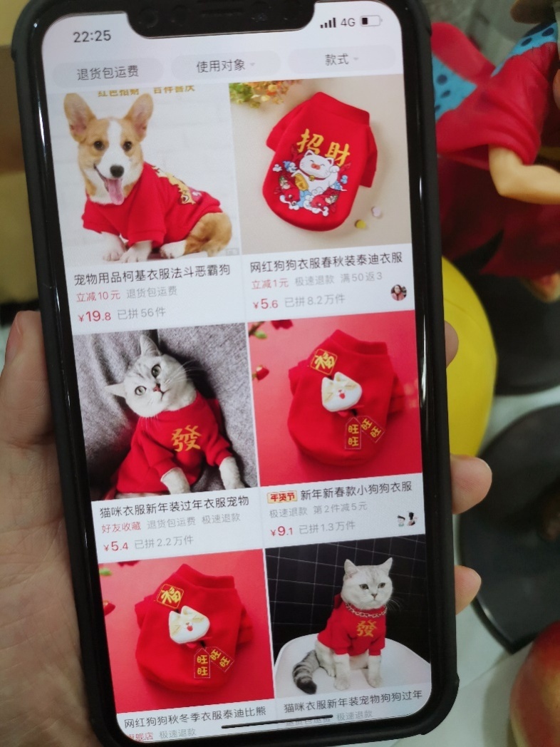 年轻人“就地过年”打算怎么过?拼多多数据:看书、撸狗、健身