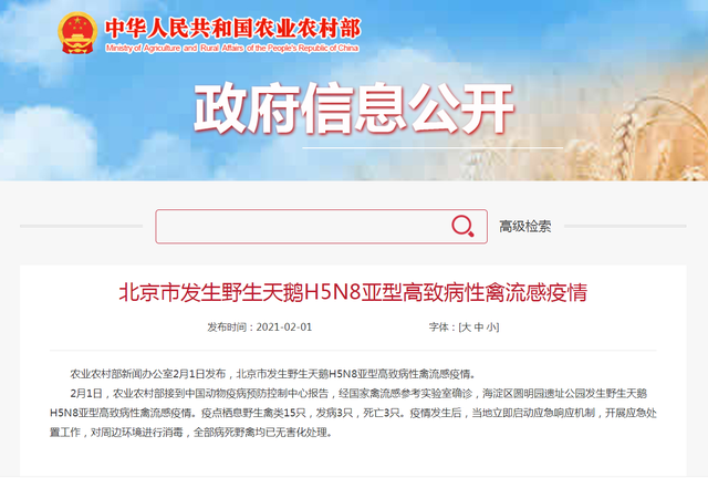 圆明园黑天鹅感染禽流感 海淀区：已有效控制