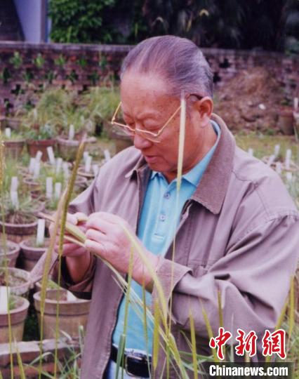 中国著名小麦育种专家颜济教授逝世