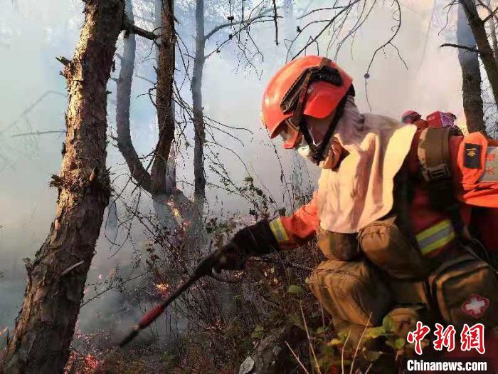 图为大理州森林消防支队前往扑救。大理州森林消防支队供图