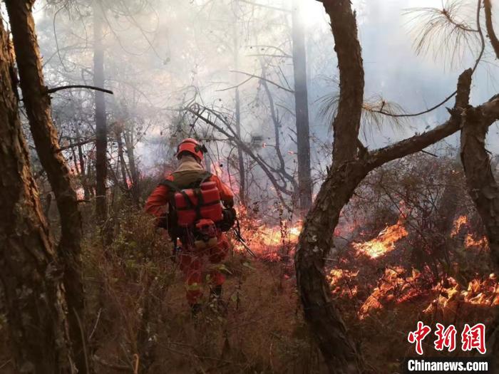 图为大理州森林消防支队前往扑救。大理州森林消防支队供图