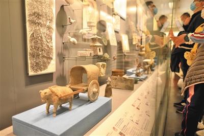 听故事、看电影、猜灯谜,首博今年春节开夜场