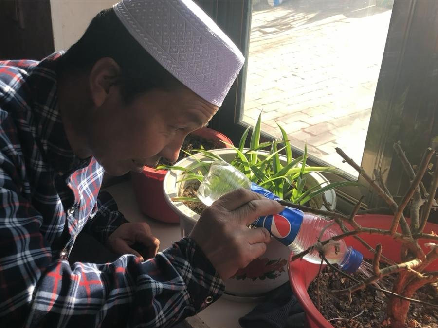 新春走基层丨窗台上的西海固脱贫新景