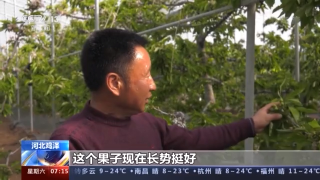 一年之计在于春 春耕备耕正忙时