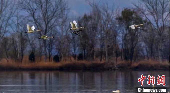 山西运城16家A级景区实行首道门票半价惠民政策吸客