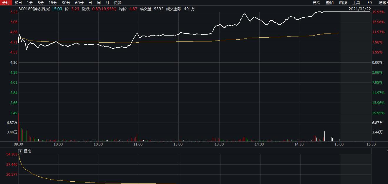 划重点!2021年中央一号文件给A股带来这些机会