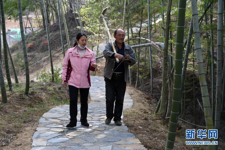 彪炳史册的伟大奇迹——中国脱贫攻坚全纪实