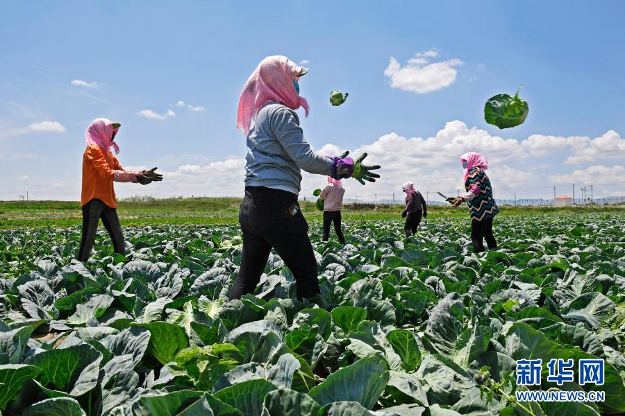 彪炳史册的伟大奇迹——中国脱贫攻坚全纪实