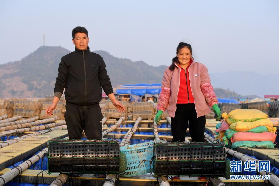 彪炳史册的伟大奇迹——中国脱贫攻坚全纪实