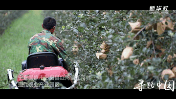 一亿人的脱贫故事｜第二集：寻路中国