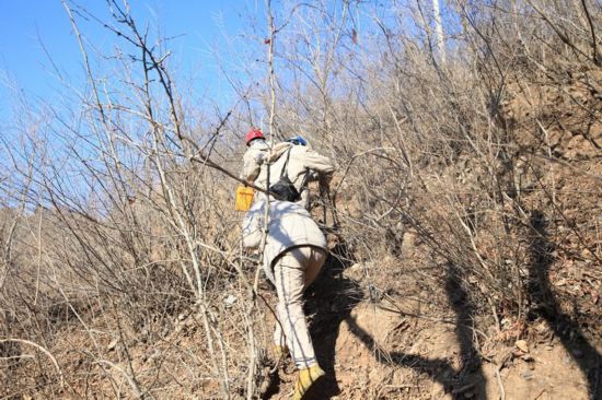 协同共进 京津冀定下5年新约