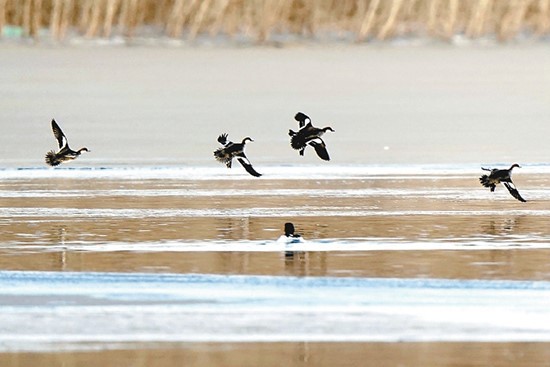 协同共进 京津冀定下5年新约