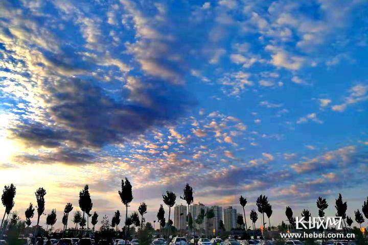 七年蝶变，这盘大棋越下越精彩