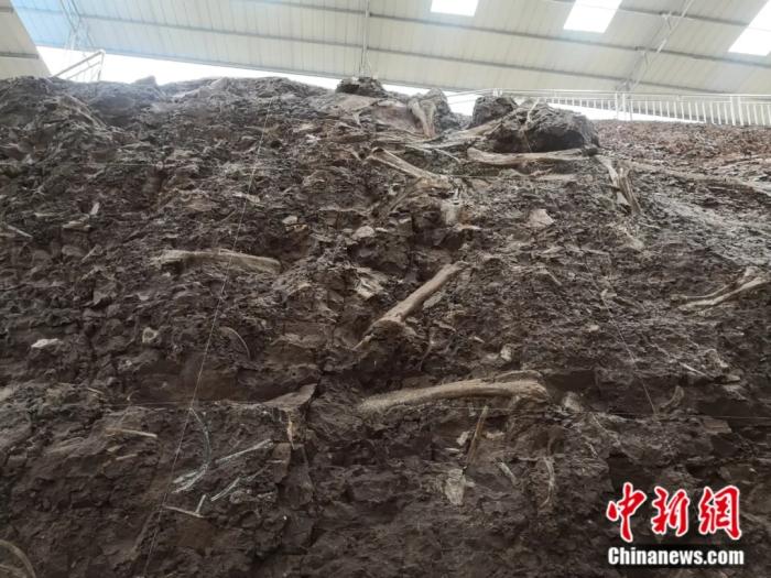 点击进入下一页