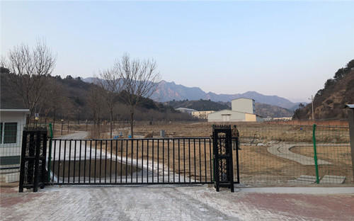 大厂“养猪”：利润诱惑还是AI场景落地？