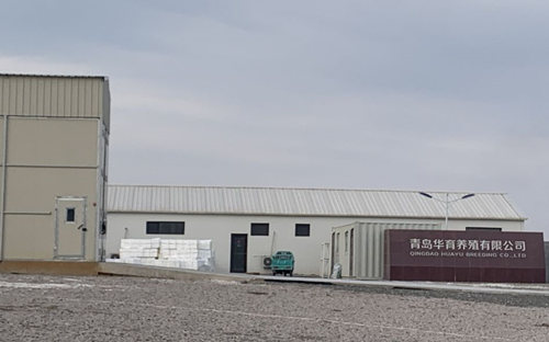 盘点跨界养猪:风口上的猪能飞多久?