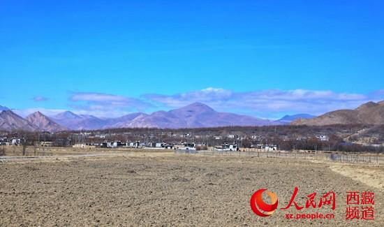 半个世纪征程 西藏隆子县筑起一条“绿色长城”