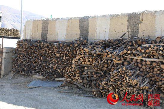 半个世纪征程 西藏隆子县筑起一条“绿色长城”