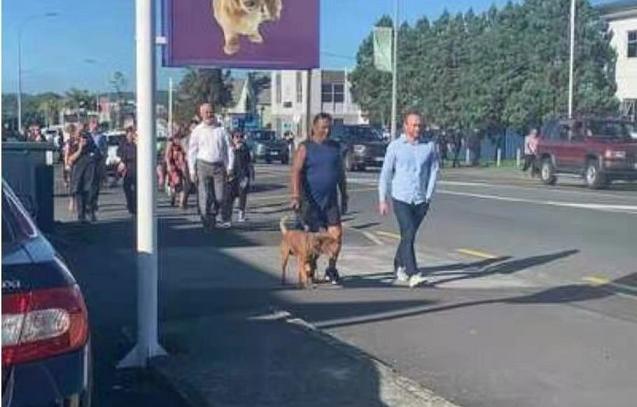 新西兰国家紧急事务管理局再次发布海啸警报 要求东部海岸居民转移