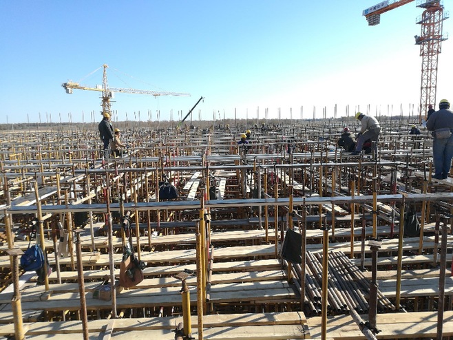 栽好梧桐树 凤凰自然来——从牧原集团东北发展见证黑土地变投资热土