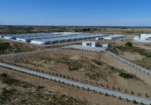 栽好梧桐树 凤凰自然来——从牧原集团东北发展见证黑土地变投资热土