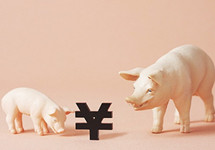 降降降！猪肉价格“跌跌不休”，下降通道开启？