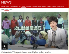 欧洲头条：皮山姑娘上了BBC，就被西方媒体这样扭曲了