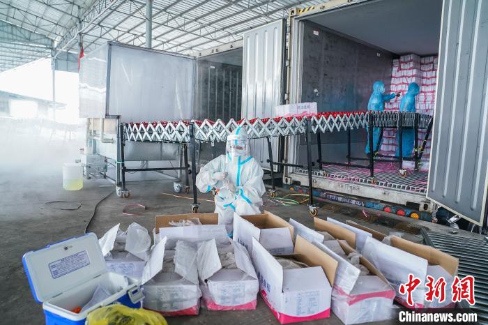 广西防城港进口冷链食品监管仓核酸检测实验室投入使用