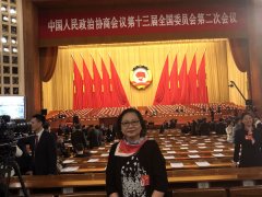 海外侨胞：政府工作报告令人瞩目 期待“爱国者治港”全面落实