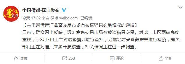 禽畜交易市场有被盗猫只交易？广东江门：已查扣