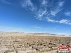 青藏铁路“清沙人”：风沙不止 清沙不停
