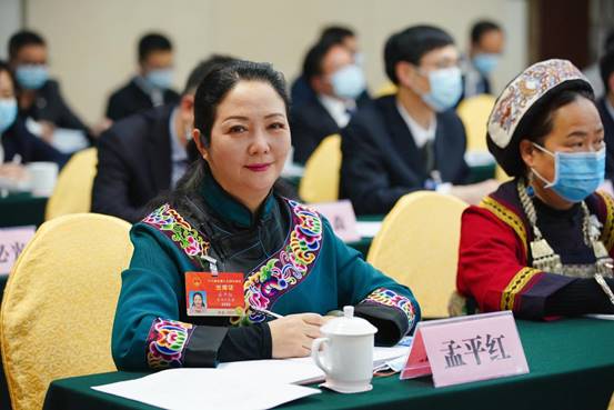 两会代表委员谈新发展格局下中国茶产业的高质量发展