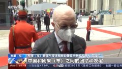刚果（布）官员：中国对非洲疫苗援助体现中非深厚友谊
