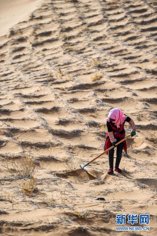 历史交汇期的宏伟擘画——从党的十九届五中全会到2021年全国两会