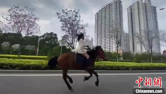 广西北海一女子街头策马奔腾交警：已约谈教育