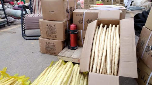 山药“易容术”：消毒剂漂白变白嫩